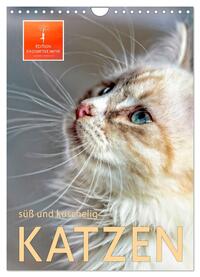 Vorderes Coverbild Katzen - süß und kuschelig (Wandkalender 2025 DIN A4 hoch), CALVENDO Monatskalender