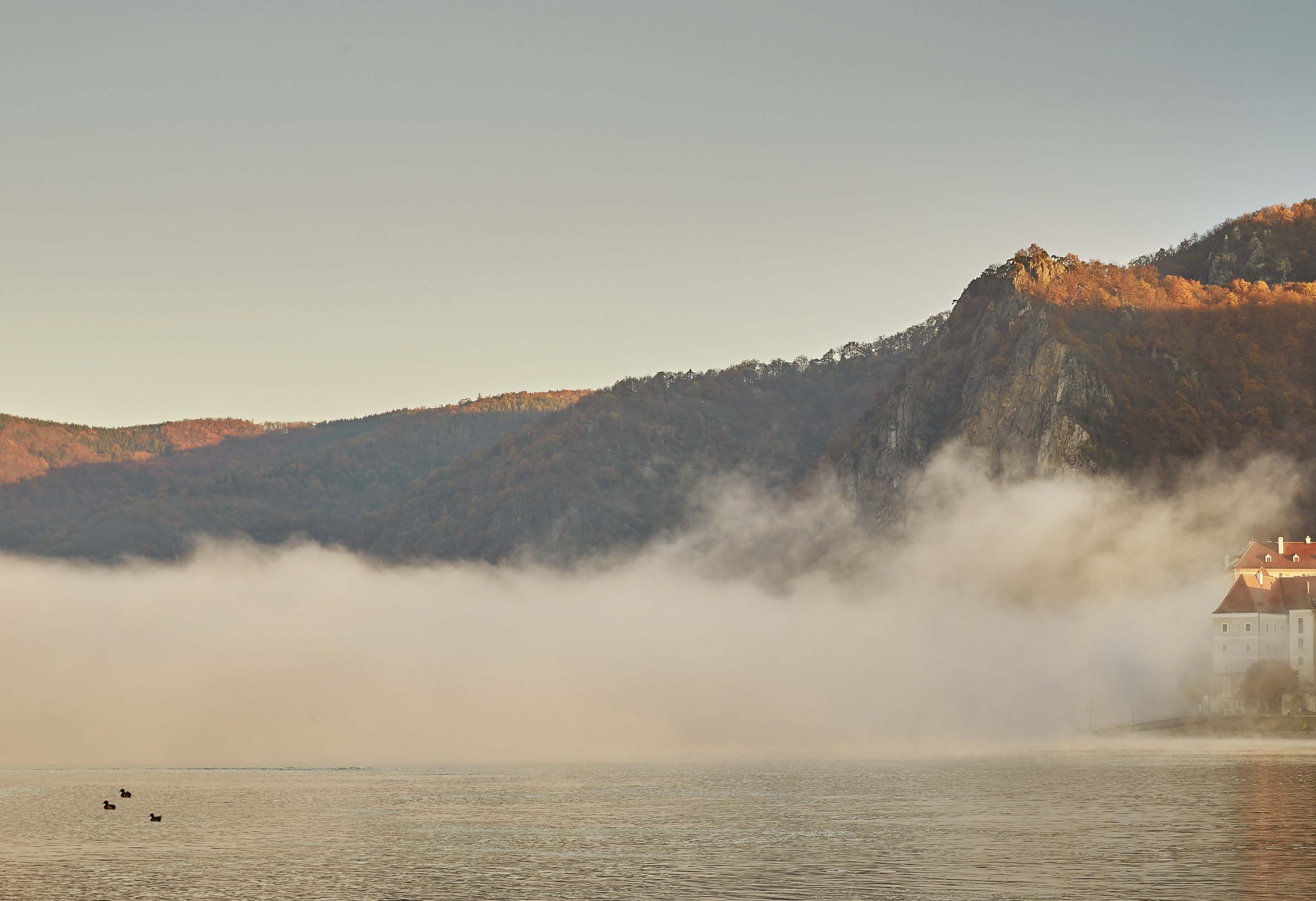 Beispielinhalt (Bild) Mit weitem Blick