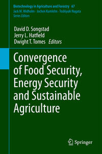Vorderes Coverbild Convergence of Food Security, Energy Security and Sustainable Agriculture