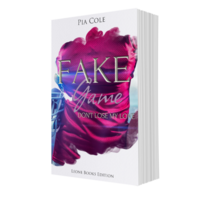 Vorderes Coverbild Fake Game