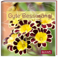 Vorderes Coverbild Gute Besserung!