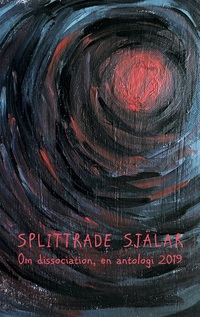 Vorderes Coverbild Splittrade själar
