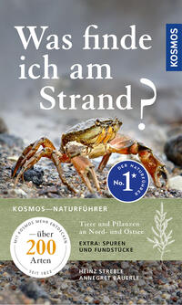 Vorderes Coverbild Was finde ich am Strand?