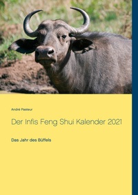 Vorderes Coverbild Der Infis Feng Shui Kalender 2021