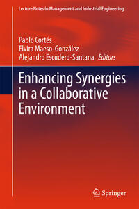 Vorderes Coverbild Enhancing Synergies in a Collaborative Environment