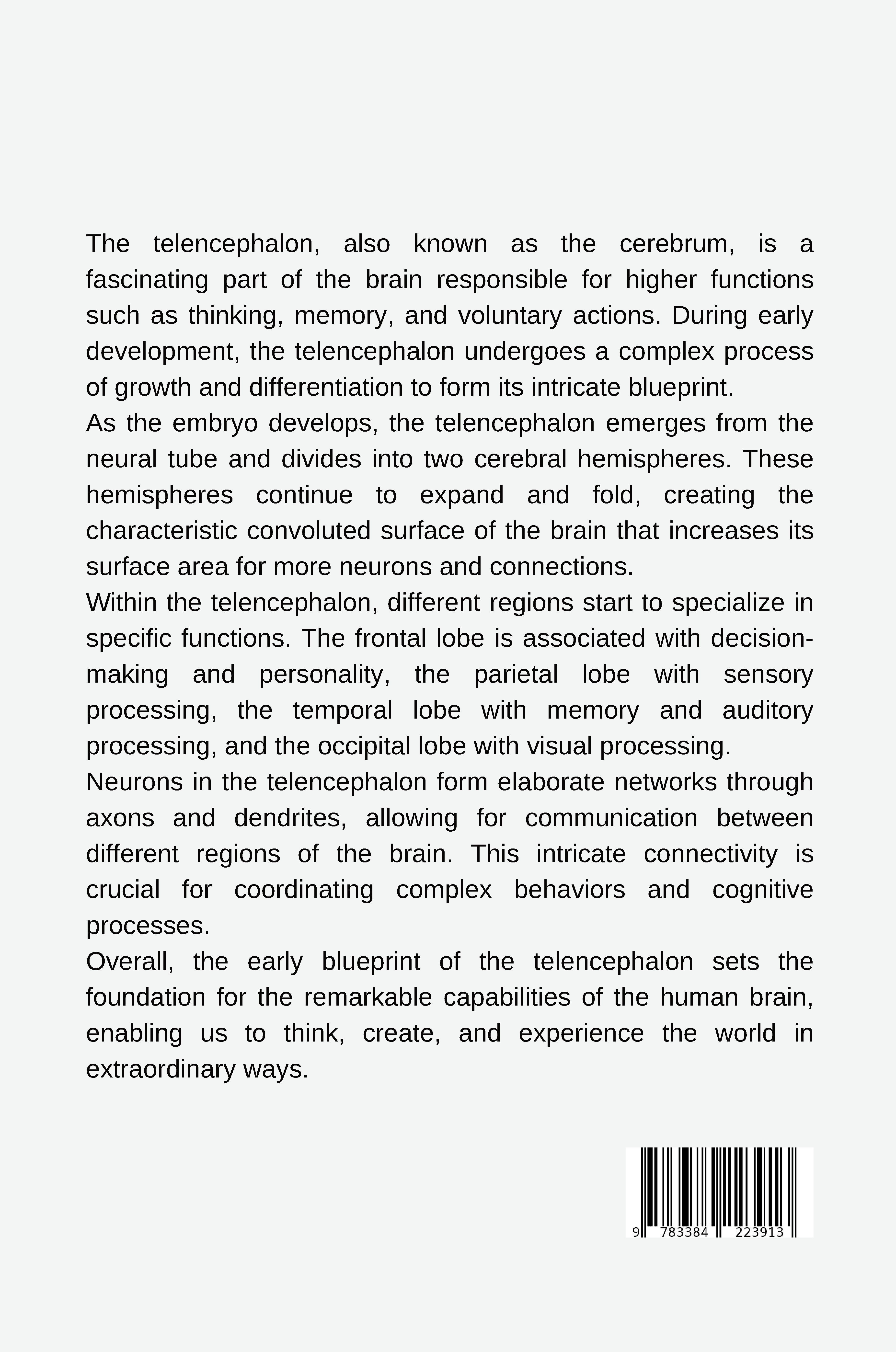 Rückseitencover Basal Ganglia: From Eminence to Function