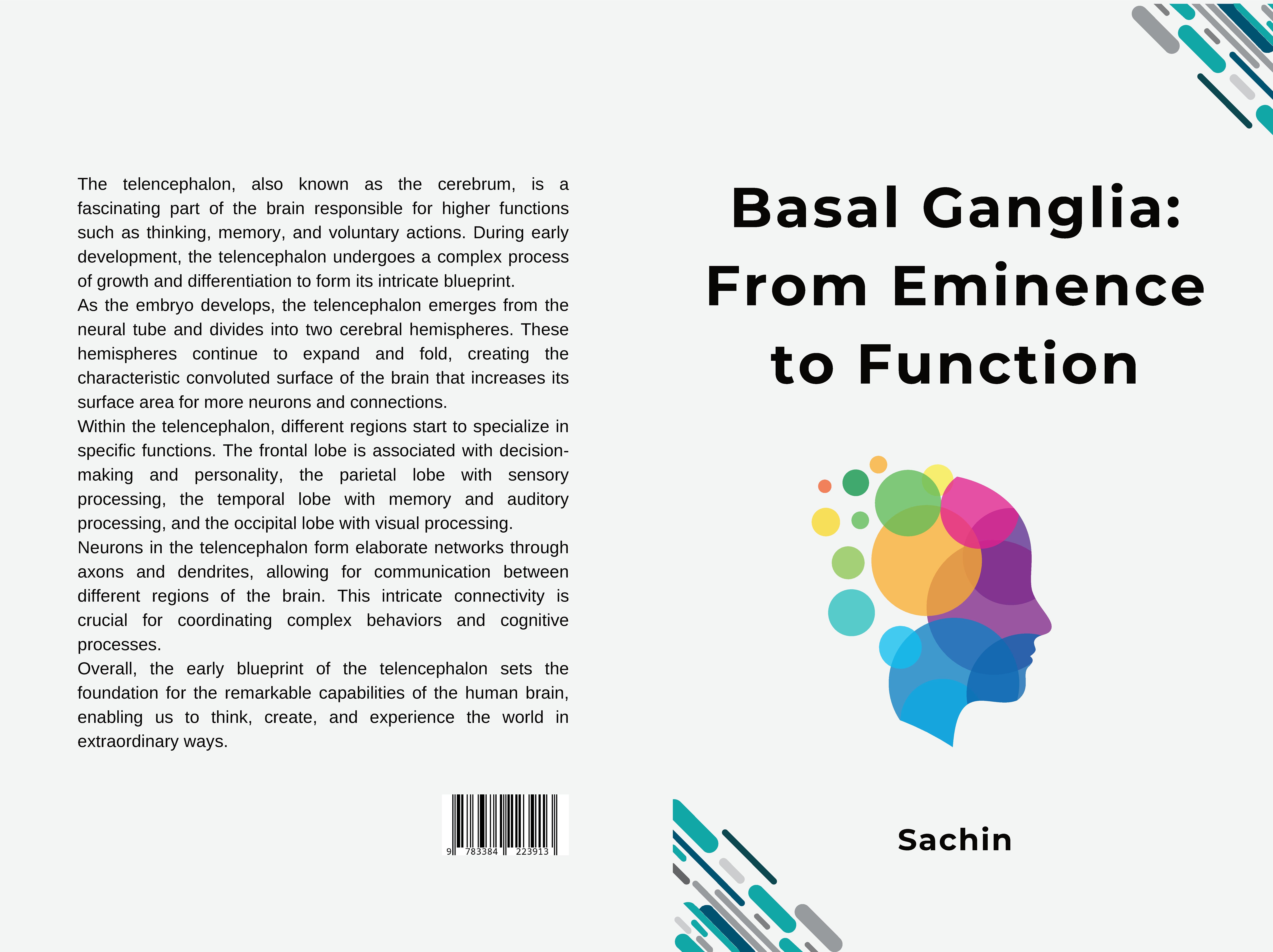 Gesamtes Coverbild Basal Ganglia: From Eminence to Function