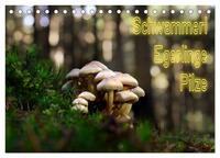 Vorderes Coverbild Schwammerl Egerlinge Pilze (Tischkalender 2025 DIN A5 quer), CALVENDO Monatskalender