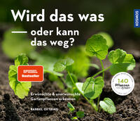 Vorderes Coverbild Wird das was oder kann das weg?