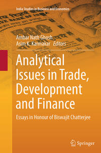 Vorderes Coverbild Analytical Issues in Trade, Development and Finance