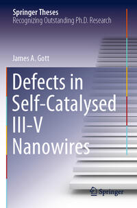 Vorderes Coverbild Defects in Self-Catalysed III-V Nanowires