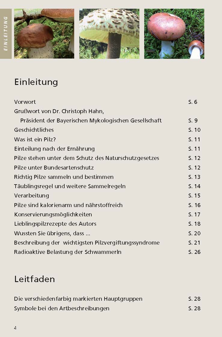 Beispielinhalt (Bild) Schwammerlsuche in Bayern