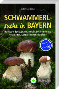 Vorderes Coverbild Schwammerlsuche in Bayern