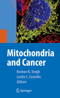 Vorderes Coverbild Mitochondria and Cancer