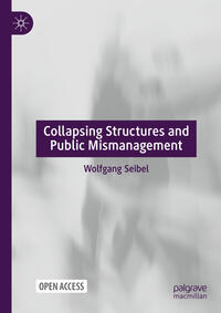 Vorderes Coverbild Collapsing Structures and Public Mismanagement