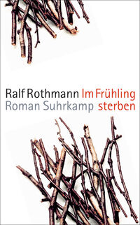 Vorderes Coverbild Im Frühling sterben