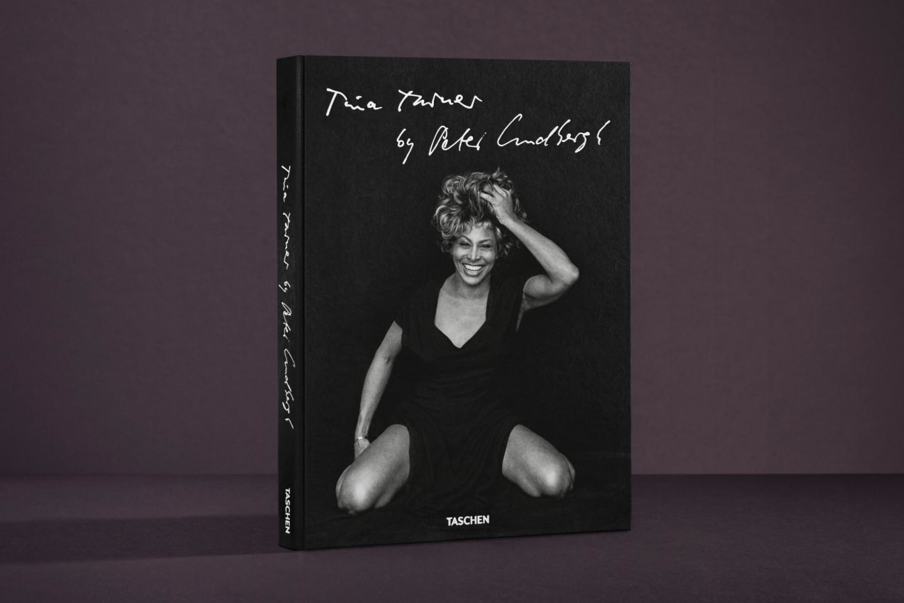 Beispielinhalt (Bild) Tina Turner by Peter Lindbergh