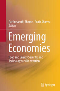 Vorderes Coverbild Emerging Economies