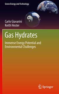 Vorderes Coverbild Gas Hydrates