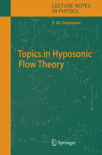 Vorderes Coverbild Topics in Hyposonic Flow Theory
