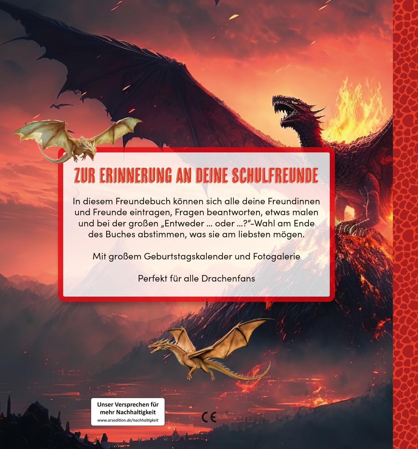 Rückseitencover Meine Schulfreunde - Drachen