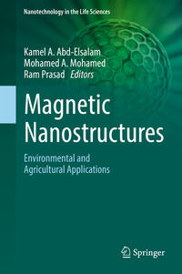 Vorderes Coverbild Magnetic Nanostructures