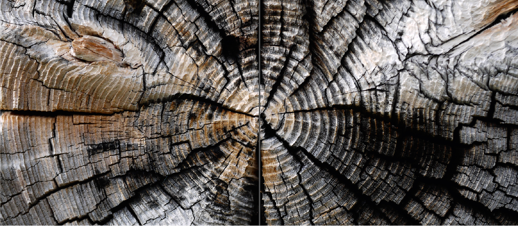 Beispielinhalt (Bild) Holz