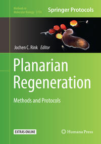 Vorderes Coverbild Planarian Regeneration