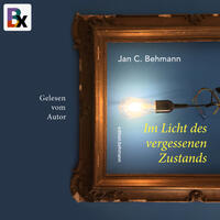 Vorderes Coverbild Im Licht des vergessenen Zustands