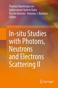 Vorderes Coverbild In-situ Studies with Photons, Neutrons and Electrons Scattering II