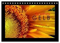 Vorderes Coverbild Goethes Gelb Gedanken zur Farbe (Tischkalender 2025 DIN A5 quer), CALVENDO Monatskalender