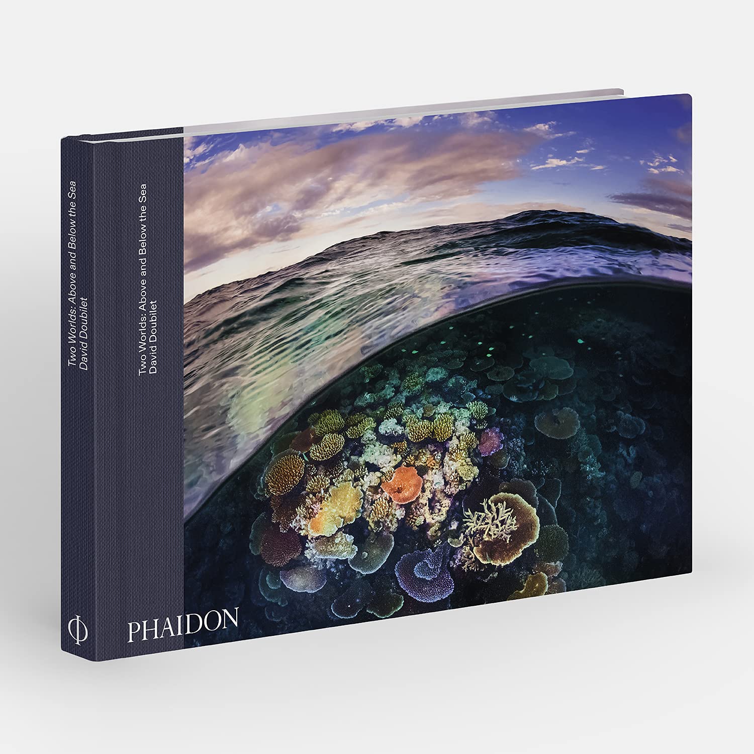 Beispielinhalt (Bild) Two Worlds: Above and Below the Sea