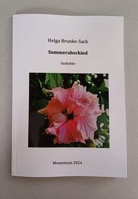 Vorderes Coverbild Sommerabschied