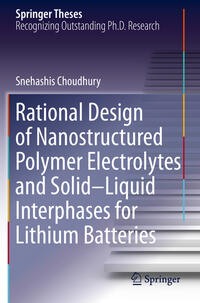 Vorderes Coverbild Rational Design of Nanostructured Polymer Electrolytes and Solid–Liquid Interphases for Lithium Batteries