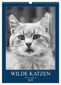 Vorderes Coverbild Wilde Katzen - Korsikas Samtpfoten (Wandkalender 2025 DIN A3 hoch), CALVENDO Monatskalender