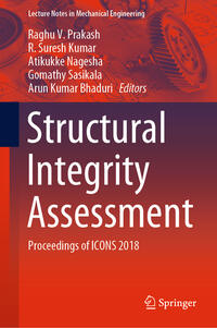 Vorderes Coverbild Structural Integrity Assessment