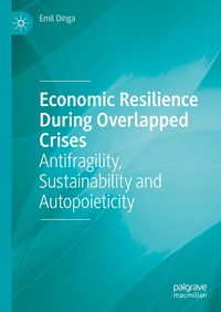 Vorderes Coverbild Economic Resilience During Overlapped Crises