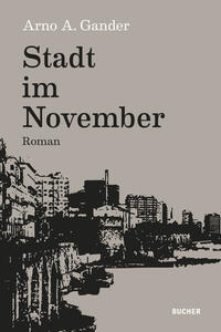 Vorderes Coverbild Stadt im November