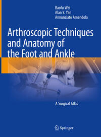 Vorderes Coverbild Arthroscopic Techniques and Anatomy of the Foot and Ankle