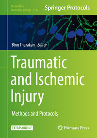 Vorderes Coverbild Traumatic and Ischemic Injury