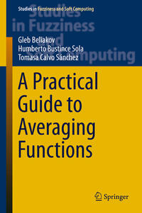 Vorderes Coverbild A Practical Guide to Averaging Functions