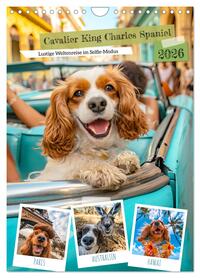 Vorderes Coverbild Cavalier King Charles Spaniel - Lustige Weltenreise im Selfie-Modus (Wandkalender 2026 DIN A4 hoch), CALVENDO Monatskalender