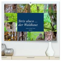 Vorderes Coverbild Strix aluco ... der Waldkauz (hochwertiger Premium Wandkalender 2025 DIN A2 quer), Kunstdruck in Hochglanz