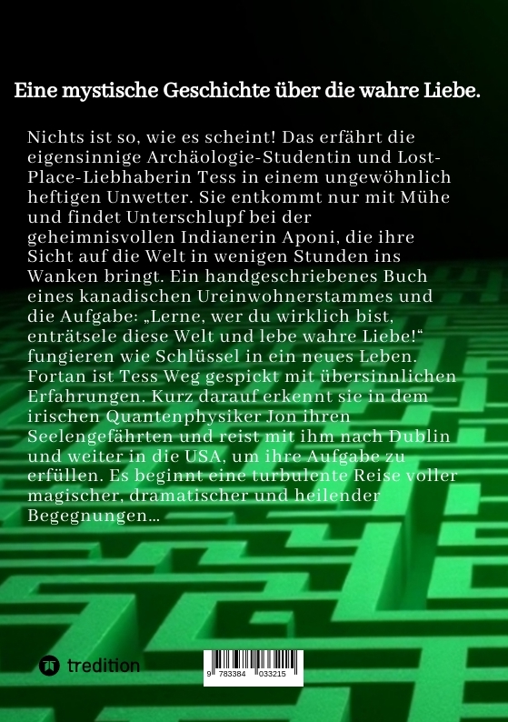 Rückseitencover Das Labyrinth aus Sternenstaub und Träumen