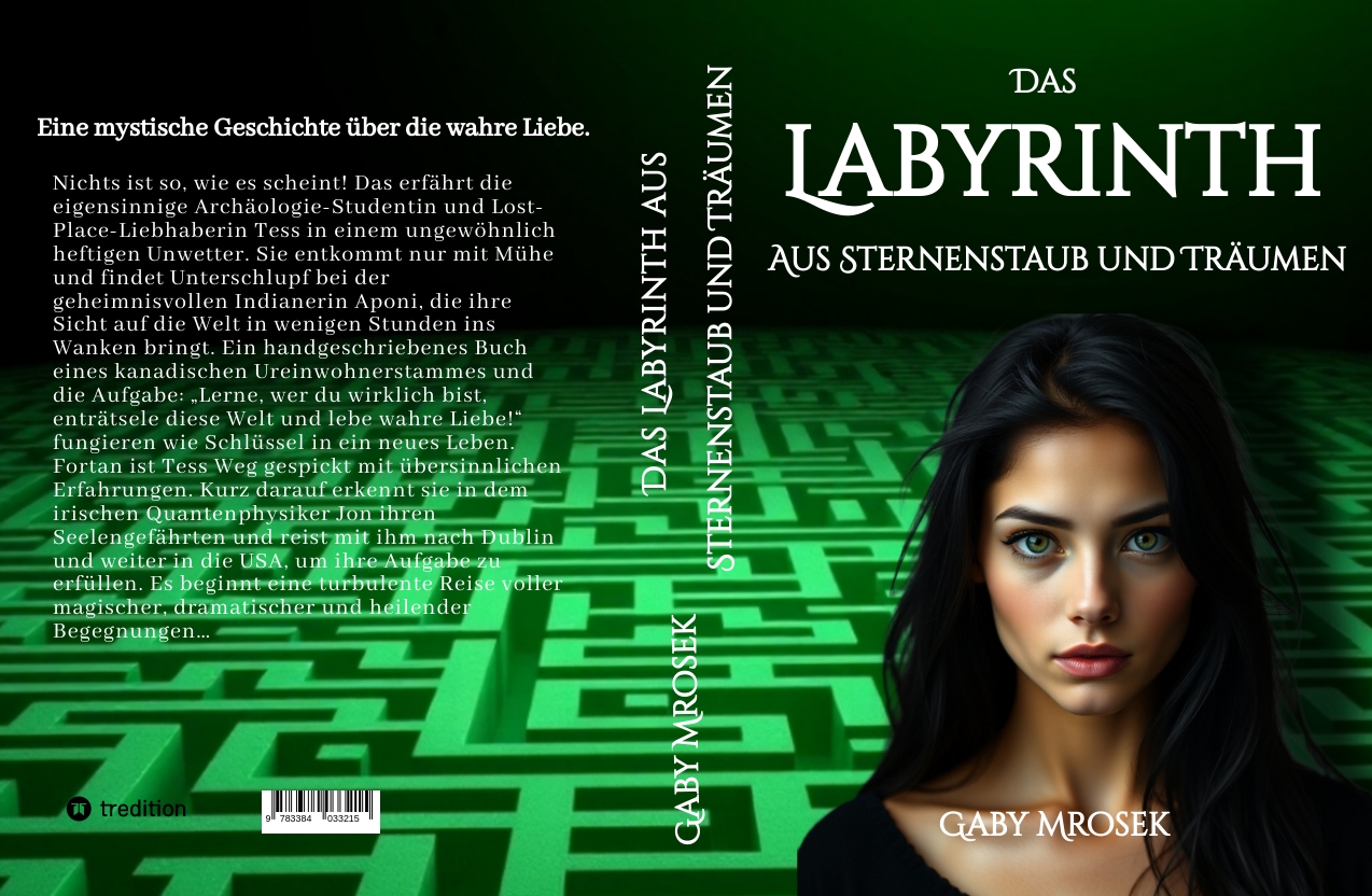 Gesamtes Coverbild Das Labyrinth aus Sternenstaub und Träumen