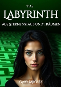 Vorderes Coverbild Das Labyrinth aus Sternenstaub und Träumen