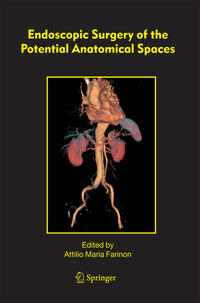 Vorderes Coverbild Endoscopic Surgery of the Potential Anatomical Spaces