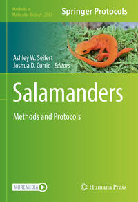Vorderes Coverbild Salamanders