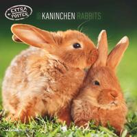 Vorderes Coverbild Alpha Edition - Kaninchen 2025 Broschürenkalender, 30x30cm, Wandkalender mit Platz für Notizen und Termine, Motive von süßen Kaninchen, Monatsübersicht und Ferientermine DE/AT/CH