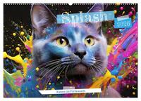 Vorderes Coverbild Splash - Katzen im Farbrausch (Wandkalender 2026 DIN A2 quer), CALVENDO Monatskalender